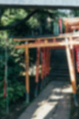 Gojo Ten-jinja torii gates