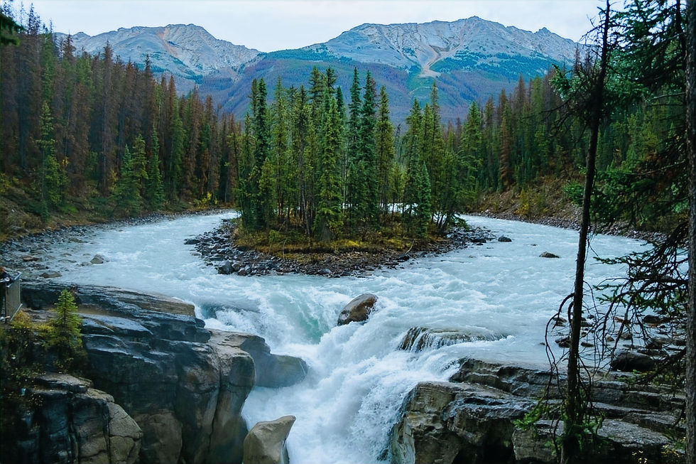 Sunwapta Falls