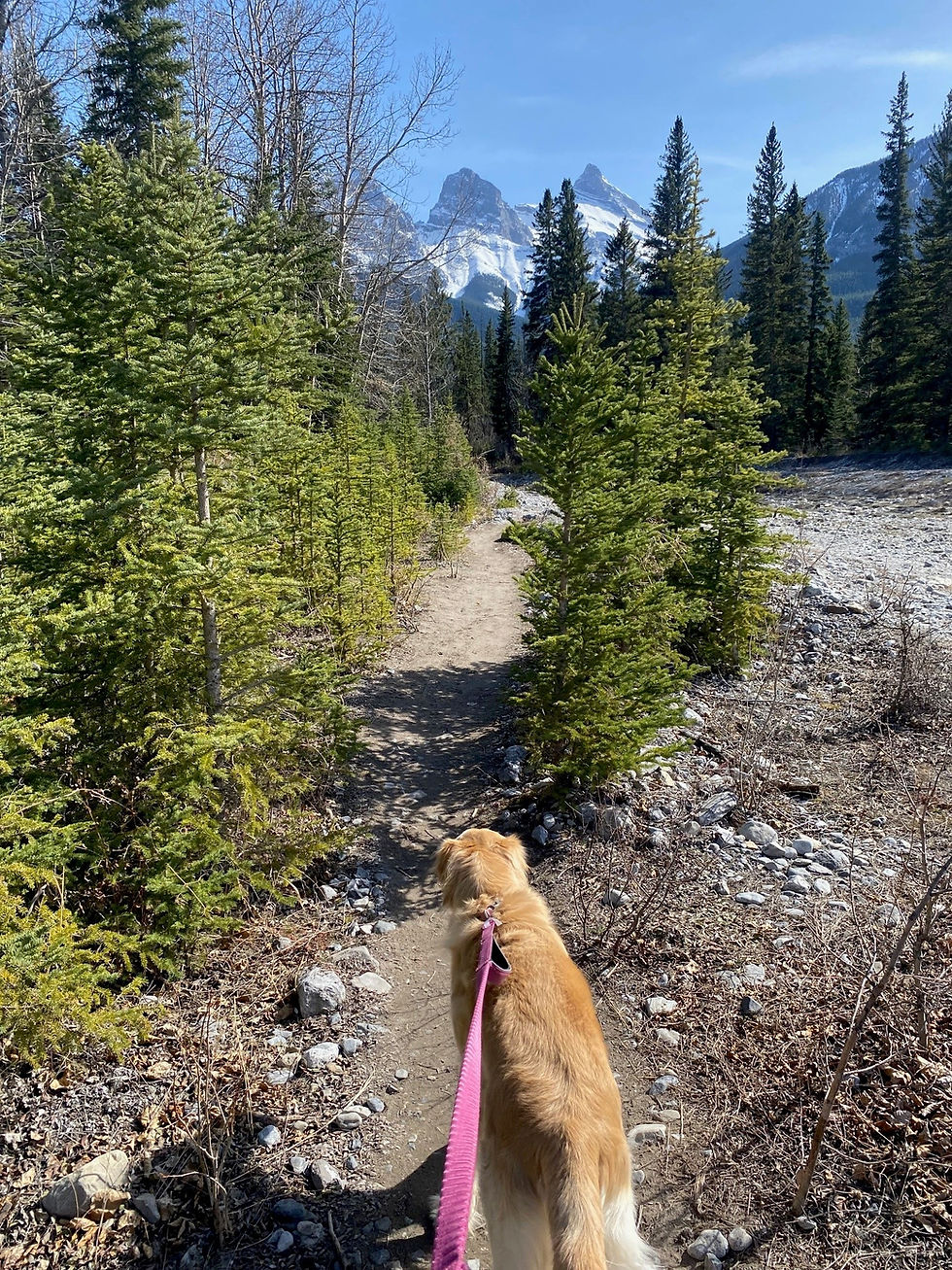 Walking along the riverbed