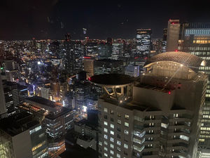 Review of the Osaka Station Hotel, Autograph Collection