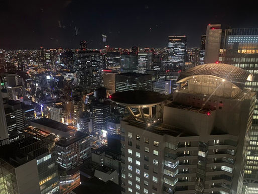Review of the Osaka Station Hotel, Autograph Collection