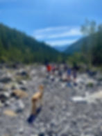 Views of the canyon from Jura Creek, Exshaw