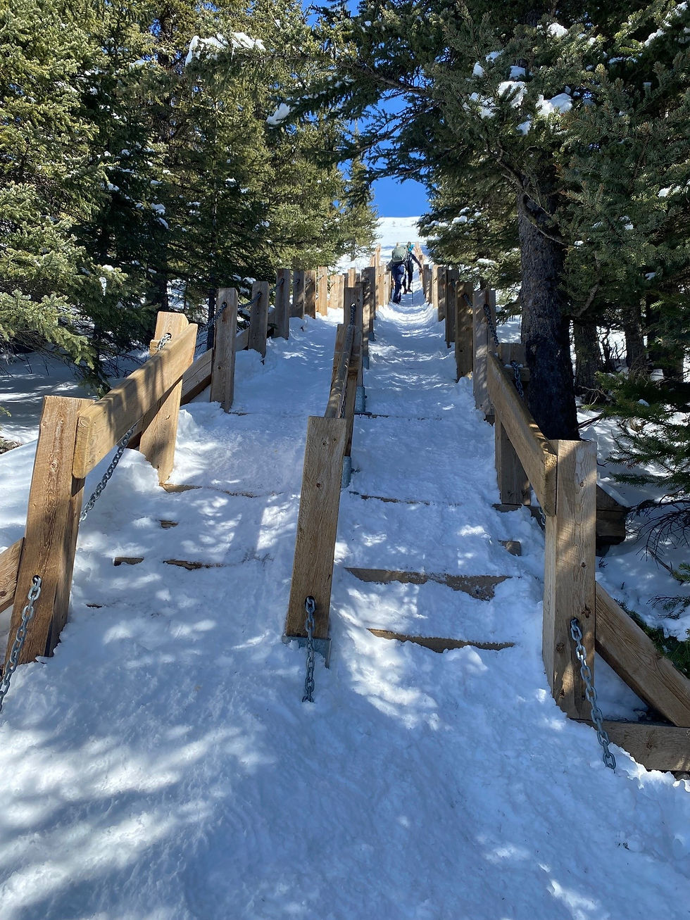 The first set of steps