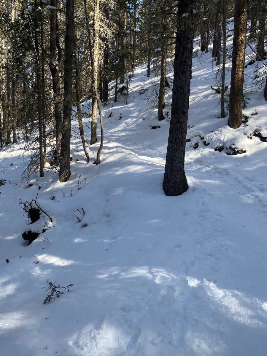 The path up Ha Ling Trail