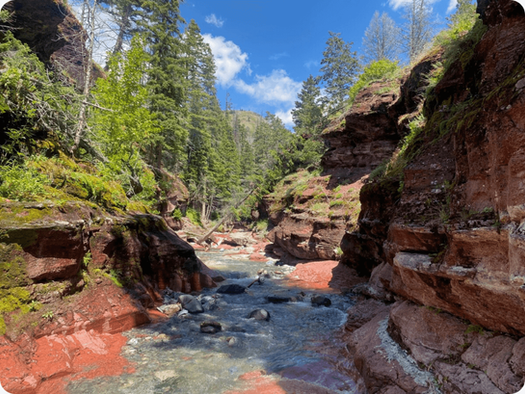 The Red Rock Canyon - A Family Friendly Adventure in Waterton Lakes National Park