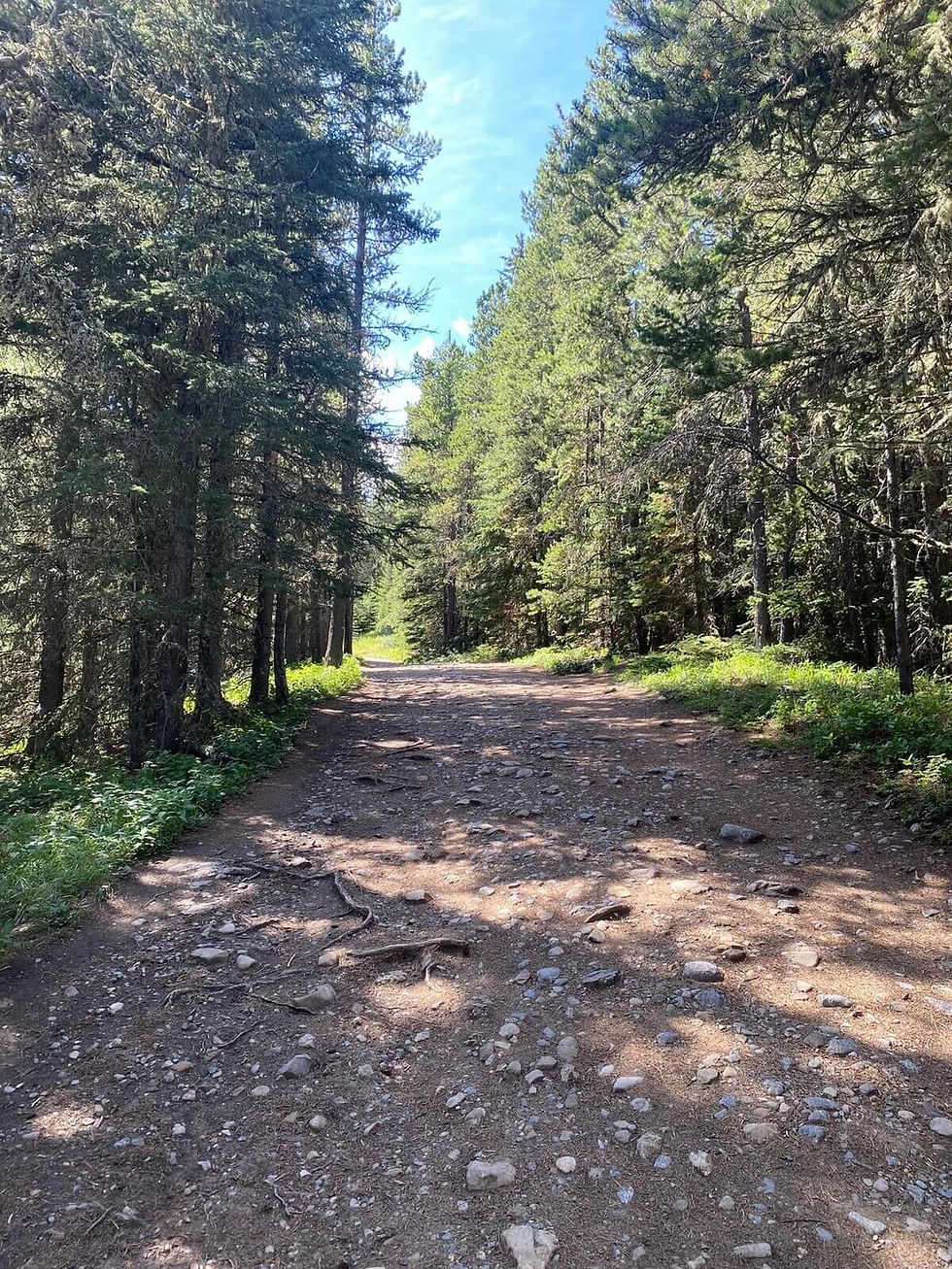 the wide path up to the viewpoint