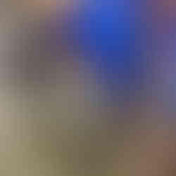 The girls in riot gear