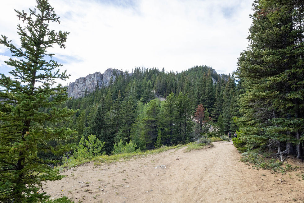 The path up to the rocky viewpoint