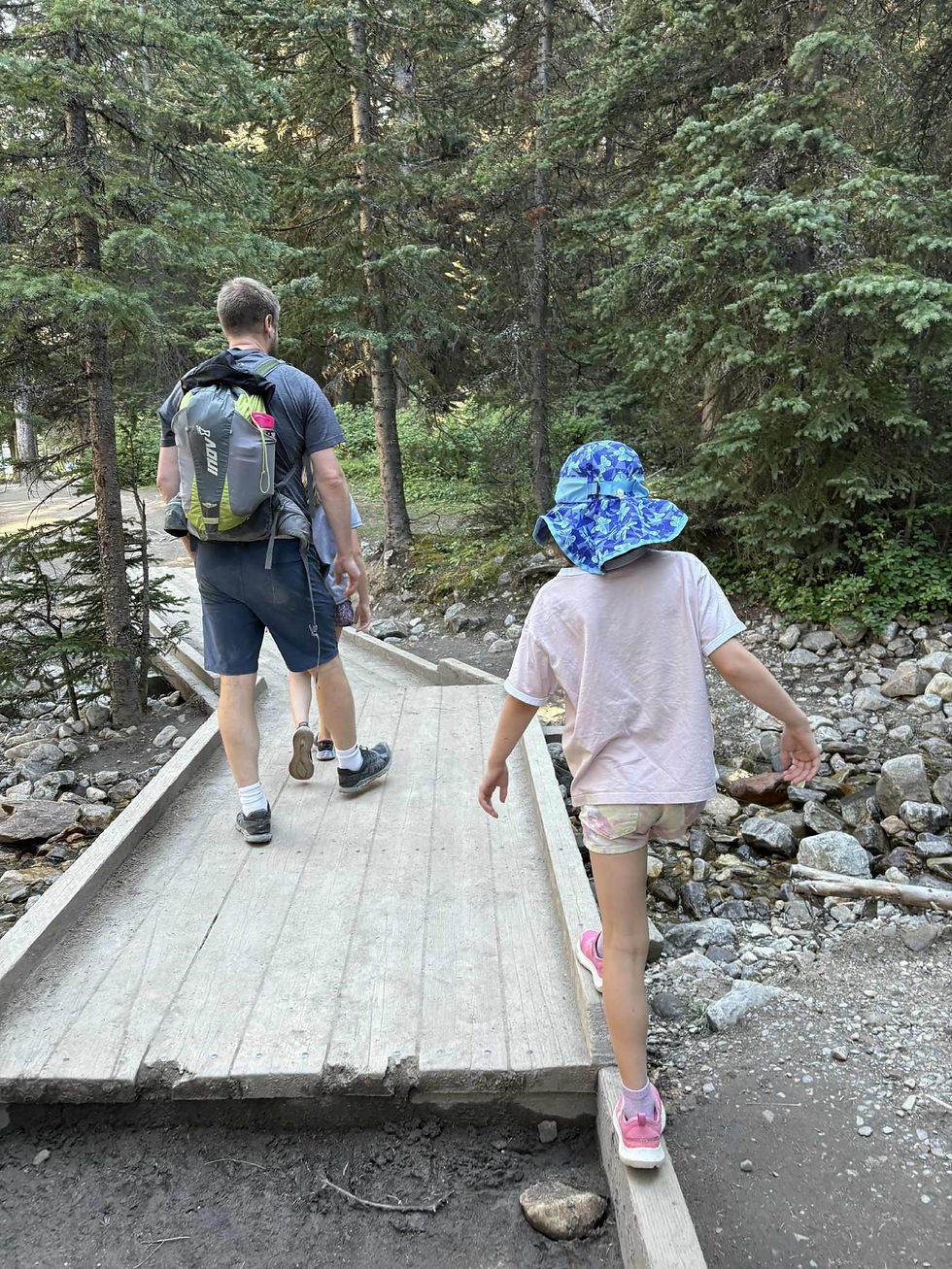 The shoreline trail