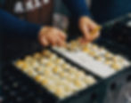 takoyaki balls