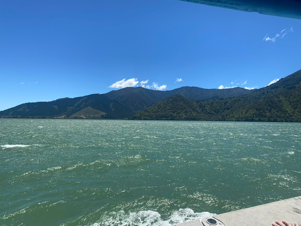 The view from the boat