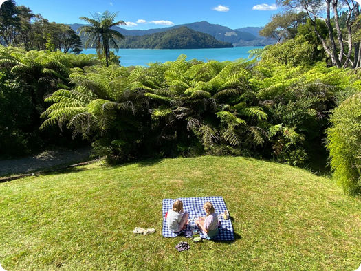 RTW Trip Day #88: Christmas Day in the Pelorus Sound