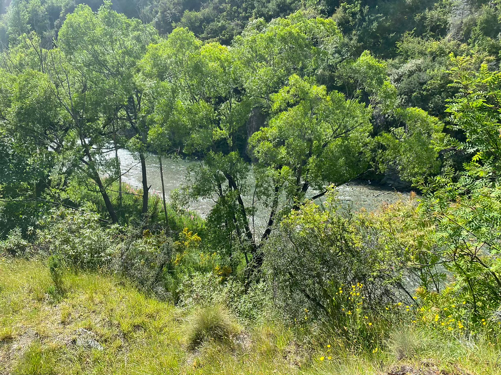 Views over the river