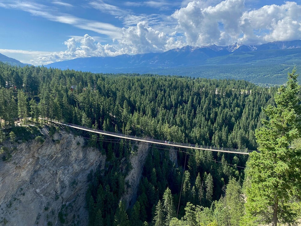 The lower suspension bridge