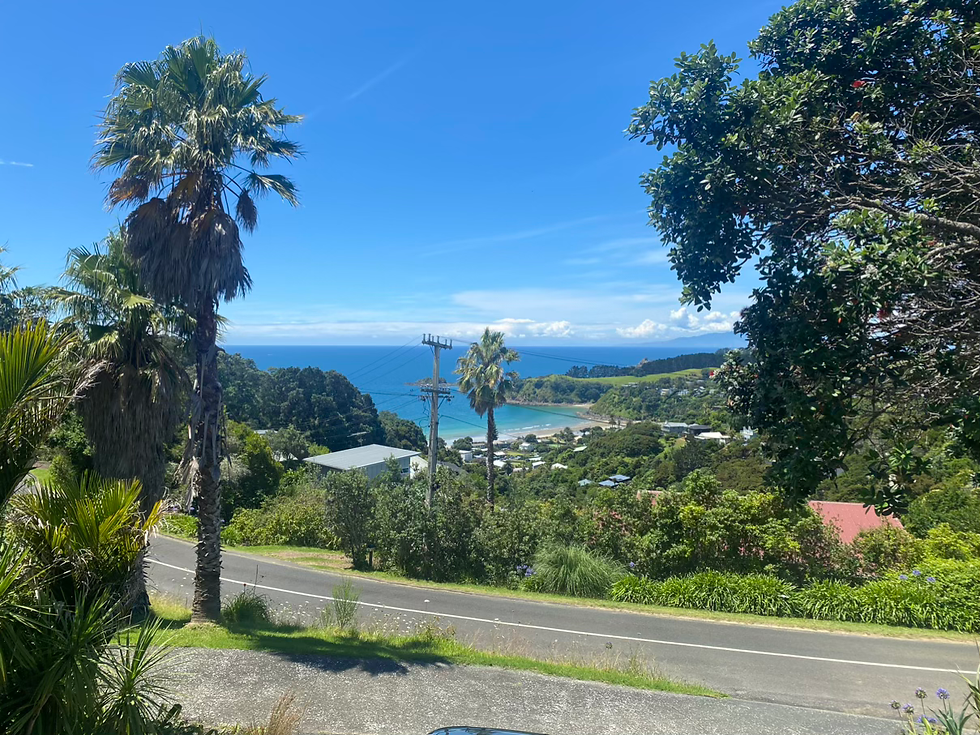 The view from the balcony