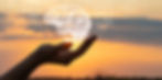 slider_edited_edited_edited_edited.jpg