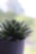 04CEC2CC-C629-4304-B418-16BD54306671.jpe