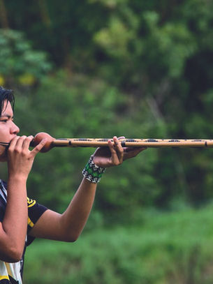 a sabedoria viva das crianças guarani