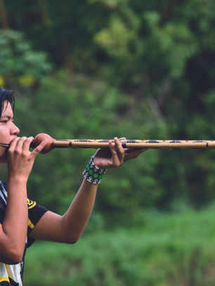 a sabedoria viva das crianças guarani