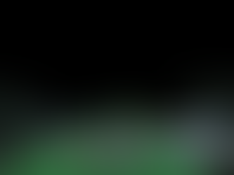 THE ZONE OF INTEREST 