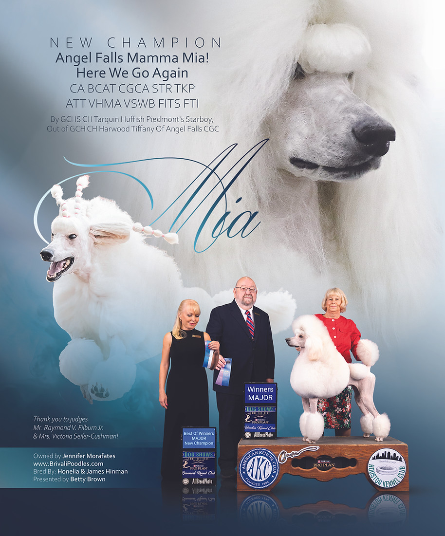 Mia Ad For Socials.jpg