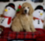 Sky Christmas Photos