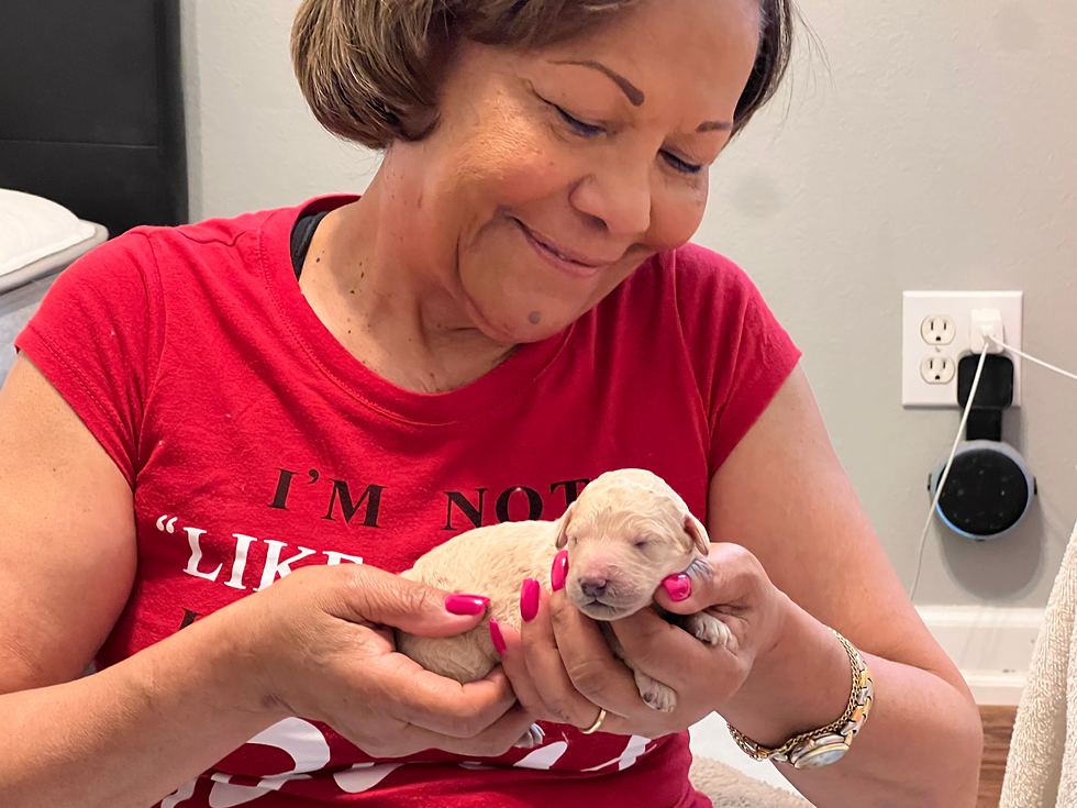 Puppies' first nail trim