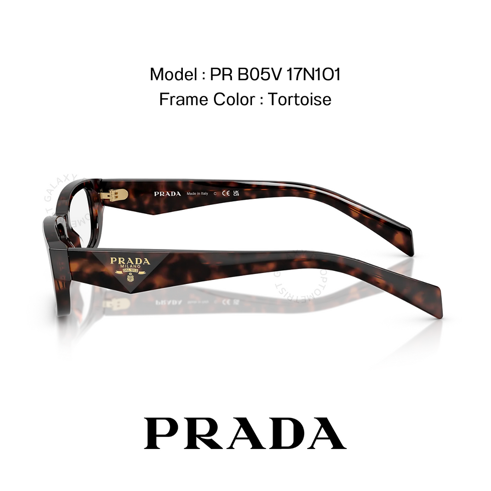 縮圖：PR B05V 17N1O1