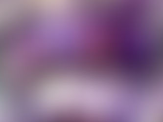 Star (lite) Garden 10.30.25 retrospective