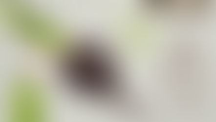 Santé : les bienfaits du radis noir