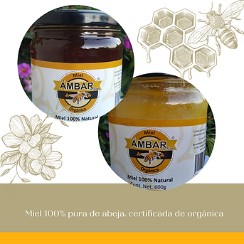 Miel 100% pura de abeja | orgánica certificada