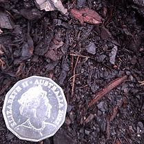 Water Saver Mulch