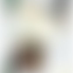 『MiX & yuu.ten presents「HOLY Dystopian Party」at SPREAD』開催のお知らせ