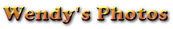 Wendy Photo 01.png