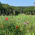 Blomstereng Greppestøl gård på Sørlandet