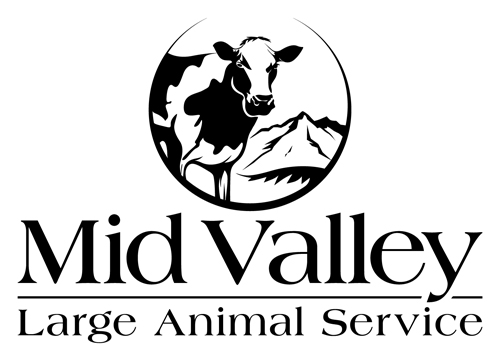 Veterinarians in Turlock, CA | Mid Valley Large Animal Service Veterinarians in Turlock, CA | Mid Valley Large Animal Service