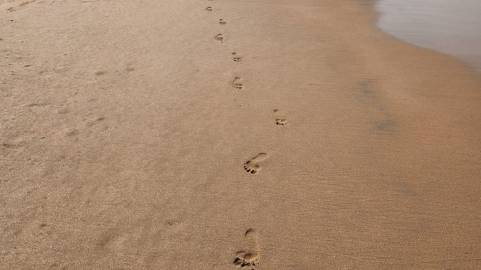 myfootprints_edited.jpg