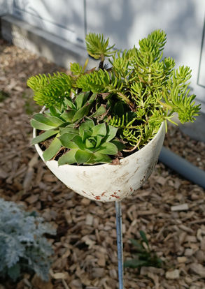 Emilie et un jardin jardinier paysagiste aménagement de jardins et de balcons à Tours en Indre-et-Loire