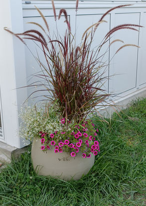 Emilie et un jardin jardinier paysagiste aménagement de jardins et de balcons à Tours en Indre-et-Loire