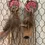 Thumbnail: Hand made clay earrings dream catchers 4