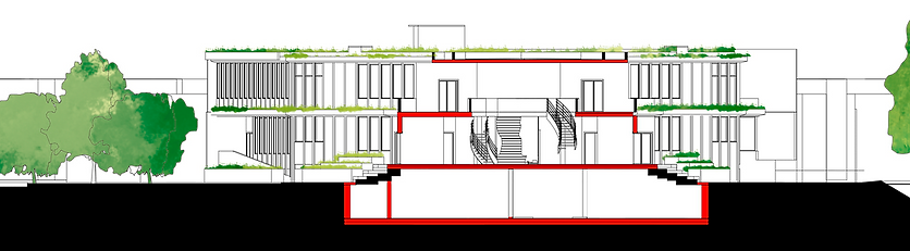 Corte transversal.png