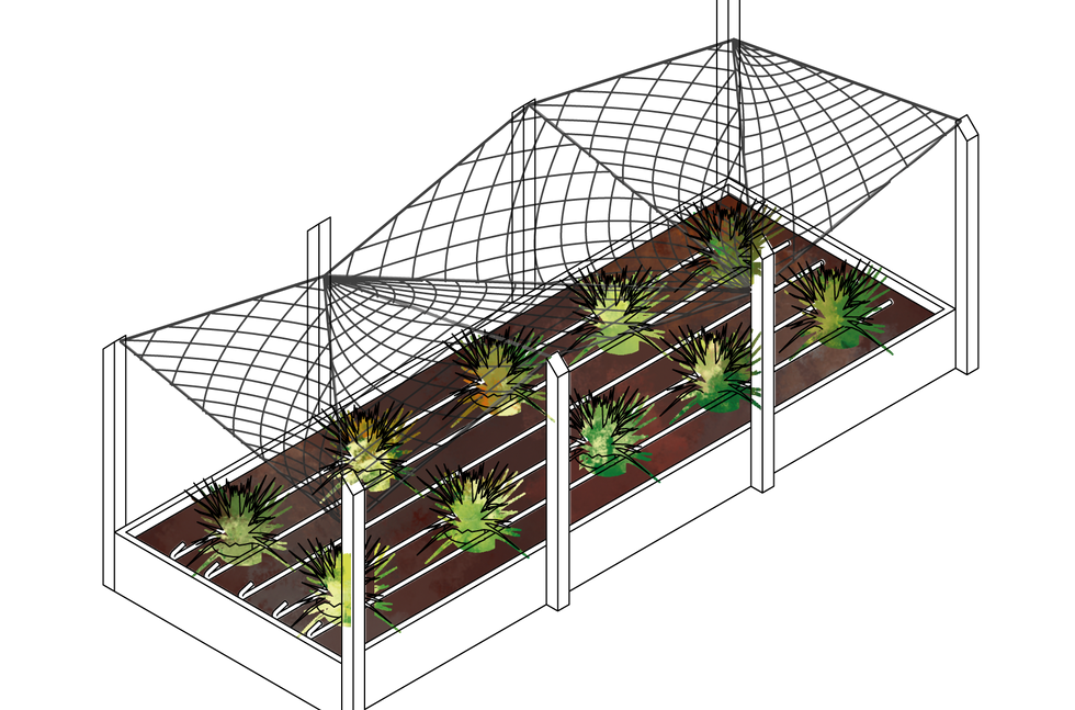 00_modulo huerta-01.png