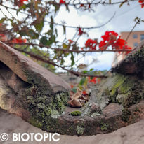 COLONY 47_Usaquén 2022.JPG