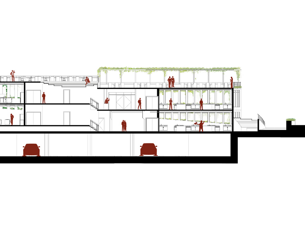 Cross section green.png