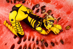 Human wasp guards watermeloon
