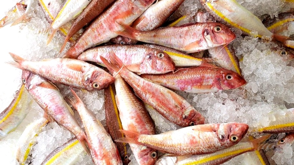 Arranged Food and Objects