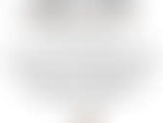 A Statement to Mayor Pierce and Watertown City Council