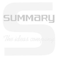 Summary, a client of Mournival Consulting