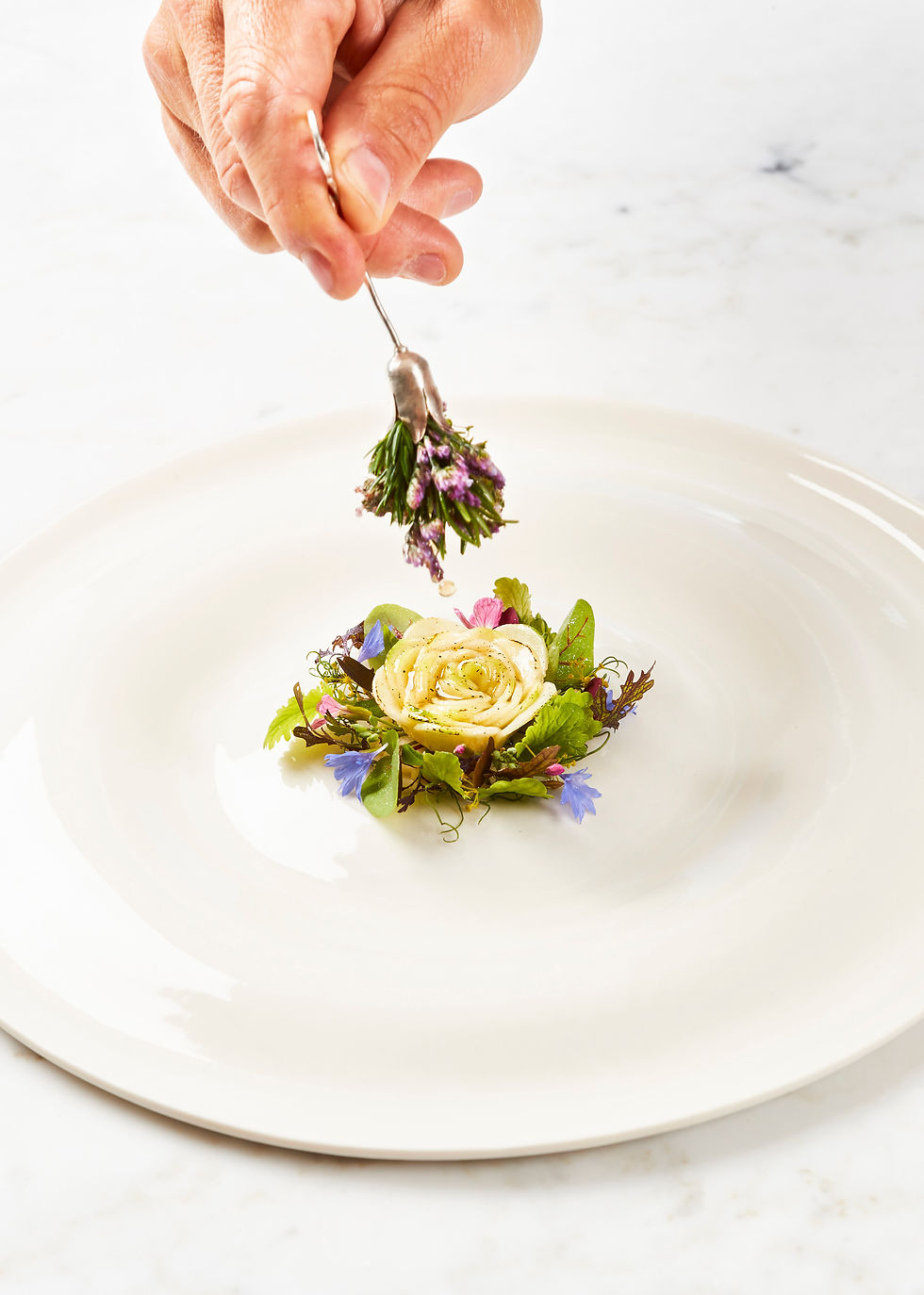 Rasmus Kofoed Geranium