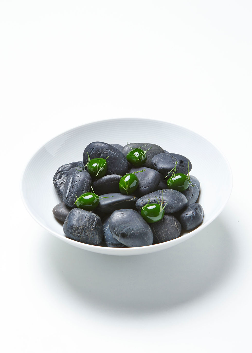 Rasmus Kofoed Geranium